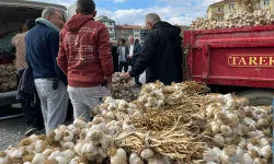 Sarımsak fiyatlarında artış var mı? Taşköprü Sarımsak Pazarı’nda son durum nedir?