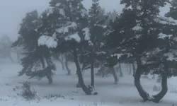 Taşköprü’de kış başladı: Koru Yaylası beyaza büründü!