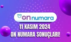 11 Kasım 2024 On Numara Çekiliş Sonuçları: On Numara Sonuçları ve Sorgulama Ekranı