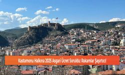 Kastamonu Halkına 2025 Asgari Ücret Soruldu: Rakamlar Şaşırtıcı!