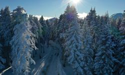 Anadolu'nun yüce dağı Ilgaz, dronla görüntülendi (görüntülü haber)