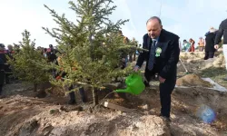 Kastamonu geleceğe nefes oluyor: 19 ilçede 15 bin fidan dikildi!