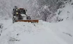 Taşköprü'ye kar yağdı 43 köy yolunda ulaşım kapandı