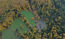 Kastamonu ormanlarında sonbaharın eşsiz güzellikleri hakim!