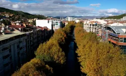 Kastamonu sonbaharın büyüsünü yaşıyor: Renk cümbüşü şehri sardı!