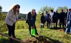 Kastamonu Üniversitesi'nde 100 fidan toprakla buluştu!