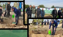 Kastamonu'nun geleceği için fidanlar dikildi!