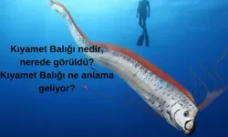 Kıyamet Balığı nedir, nerede görüldü? Kıyamet Balığı ne anlama geliyor?