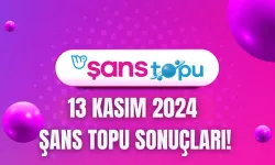 Şans Topu Çekiliş Sonuçları 13 Kasım 2024: Şans Topu Sonuçları ve Sorgulama Ekranı