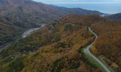 Sonbaharın renk cümbüşü: Kastamonu ormanları göz kamaştırıyor!