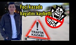 Kastamonu'da feci kaza: Ağaca çarpan otomobilde 1 kişi hayatını kaybetti!