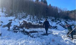 Kastamonu da kar onlar için engel değil!