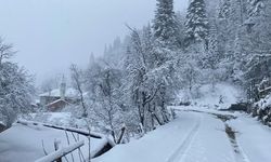 Kastamonu'da kar kalınlığı 30 cm'ye ulaştı