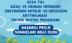 KUZKA'nın 2024 Ağaç ve Orman Ürünleri Destek Programı sonuçları açıklandı