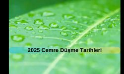 2025 Cemre Düşme Tarihleri: Cemre ne zaman, hangi tarihte düşecek? İlk cemre nereye düşüyor?