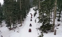 Ilgaz Dağı'nda safari turları yapılmaya başlandı!