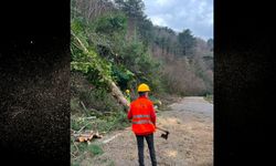 Kastamonu'da görüşü engelliyordu: Baltalı motorlu testereli müdahale!