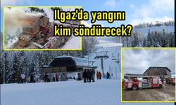 Merkeze mesafe 41 kilometre; Kastamonu Ilgaz Dağı'nda yangını kim söndürecek?