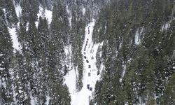 Ilgaz Dağı, Off-Roadcuları ağırladı