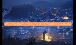 Kastamonu’nun geçim kaynakları nelerdir? İşte, Kastamonu’nun potansiyel yatırım alanları!