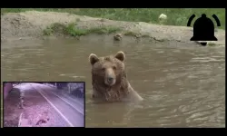 Kastamonu’nun simgesi için alarm verildi!