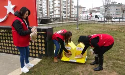 Türk Kızılay Kastamonu Şubesi'nden kedilere sıcak yuva!