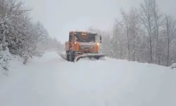 Kar yağışı Kastamonu'yu vurdu: Bazı yollar ulaşıma kapatıldı!