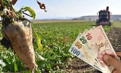 Kastamonulu Çiftçiye Müjde: Şeker Pancarı Alım Fiyatı Belli Oldu