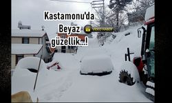 Kastamonu'da köyler kara gömüldü (görüntülü haber)