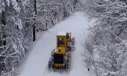 Kastamonu'da 157 köy yoluna kar engeli: Taşköprü'de 7 köy ulaşıma kapalı!