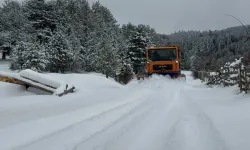 Kastamonu'da ekipler sahada: Kapalı köy yolu sayısı düştü!