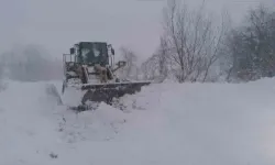 Kastamonu'da kar engeli: 8 köye ulaşım sağlanamıyor!