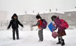 Kastamonu’nun 6 ilçesinde eğitime kar engeli!