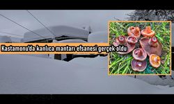 Kastamonu’da ‘kanlıca mantarı’ efsanesi gerçek oldu: Kış çetin geçiyor