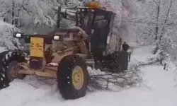 Sinop'ta zorlu kar mücadelesi!