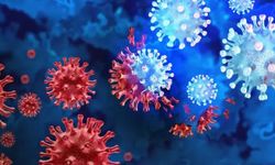 Herpes Simpleks virüsü nedir, tedavisi var mı?