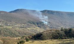 Kastamonu'nun komşu ilinde orman yangını çıktı