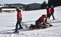 UMKE, Kastamonu Ilgaz Dağında yeniden hayata döndürdü (görüntülü haber)