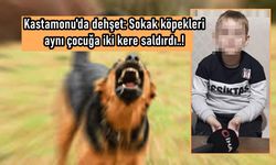 Kastamonu'da küçük çocuk aynı gün 2 kez köpeklerin saldırısına uğradı (görüntülü haber)