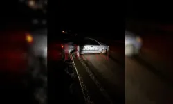 Kastamonu'da kediye çarpmamak için yapılan manevra kazaya neden oldu!