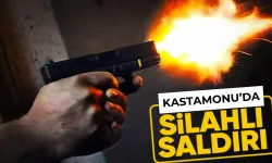 Kastamonu'da şaşırtan olay: Vuran da kaçtı, vurulan da!