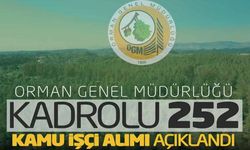 Son dakika! Listede Kastamonu’da var: Orman Genel Müdürlüğü işçi alacak (14 Mart 2025)