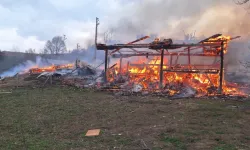 Taşköprü'de feci yangın: 3 ev, 6 ahır, 9 samanlık alevlere teslim oldu!