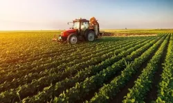 Taşköprü'de Kırsal Kalkınma Destekleri Bilgilendirme Toplantısı Yapılacak