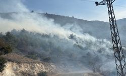 Son dakika: Kastamonu'da çeltik tarlalarında yangın çıktı!