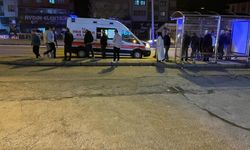 Feci Kaza: Yolun Karşısına Geçerken Ambulans Çarptı