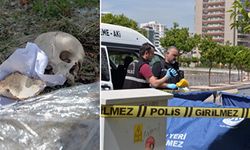 Çöpte kafatası bulundu: Doktorun evinden atılmış!