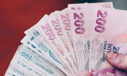 Kastamonu'da kadınların başvurması gerek: Devletten kişi başı 8 bin lira ödeme