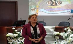 Kastamonu'da Çankırı konuşuldu: 10 milyon yıllık fosil yatağı