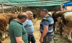 Başkan Altıkulaç'tan İstanbul’daki Devrekanili besicilere destek ziyareti: Yanınızdayım